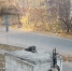 6d1ade4c-b358-4bd4-8895-3e38c12b96d2 - OrelTimes.Ru