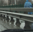 На мосту Дружбы до сих пор не обезопасили тротуары, Тургеневский мост обещают отремонтировать в следующем году, а пока в Орле ставят новогодние елки, в Белгороде к празднику возвели копию Эрмитажа. Об этом и не только в следующей рубрике. - Телерадиокомпания Истоки