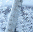 Будьте внимательны! На территории Орловской области ожидается морозная погода - МЧС