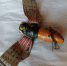 1 фото - OrelTimes.Ru