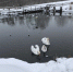 photo_2022-01-04_15-15-46 (2) - OrelTimes.Ru