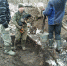 собака (1) - OrelTimes.Ru