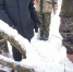 ловушка - OrelTimes.Ru