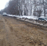 В Орловской области госпитализирован водитель, вылетевший с трассы - OrelGrad.Ru