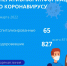 372 новых случая COVID-19 подтверждено в Орловской области - Правительство Орловской области