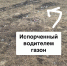Газон - OrelTimes.Ru