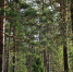 AzUpgb28sV4 - OrelTimes.Ru