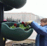 В Орле «Зеленстрой» приступил к высадке цветов в клумбы - Телерадиокомпания Истоки