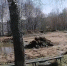 Раскопали, бросили, ушли - Орловская среда