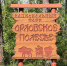 Житель Орловской области пожаловался губернатору на отсутствие дороги до Орловского полесья - Телерадиокомпания Истоки