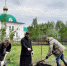 В Лаврово возродят фруктовый сад - РИА 57