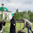 сад - OrelTimes.Ru
