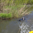 Под Орлом мужчина утонул, спасая жизнь подростку - OrelGrad.Ru