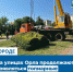 В Орле обновляют и реставрируют топиарные фигуры - РИА 57
