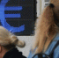Интерес россиян к доллару и евро резко сократился - InfoOrel.Ru