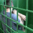 Парень в несколько заходов на велосипеде из дома орловчанина вывез дорогостоящий инструмент - Телерадиокомпания Истоки