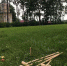 Спасское-Лутовиново приглашает орловчан сыграть в крокет - Телерадиокомпания Истоки