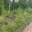 Под Орлом водитель наехала на пень, в аварии пострадали два ребенка - OrelGrad.Ru