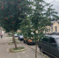 B7PmYwCdkug - OrelTimes.Ru