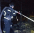 Под Орлом был ликвидирован пожар с повышенным номером сложности - OrelGrad.Ru