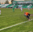 Завершается первенство Союза федераций футбола «Центр» - InfoOrel.Ru