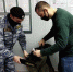 Орловчане пытались принести в суды оружие, боеприпасы и электрошокеры - Телерадиокомпания Истоки