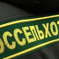 В Беларуси сварят пиво из орловского ячменя - OrelGrad.Ru