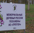Парк Победы в Орле пополнился еще одной рябиновой аллеей - Орловское информбюро