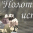 Стартовала областная акция «Семейный альбом» - InfoOrel.Ru