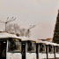 Новые ЛиАЗы выходят на городские маршруты - Администрация города