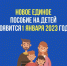 Кто получит НОВОЕ единое пособие на детей, каковы условия? - ЛДПР