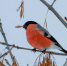 qhHRXkX_fNU_1 - OrelTimes.Ru