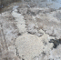 соль2 - OrelTimes.Ru