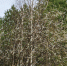 парк 2 - OrelTimes.Ru