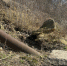 mmWleBWJ13Q_1 - OrelTimes.Ru