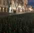 Тюльпаны 1 - OrelTimes.Ru