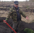 деревья 2 - OrelTimes.Ru