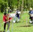 липы 2 - OrelTimes.Ru