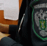 В Орловской области 19 земельных участков признаны пожароопасными - Орёл-регион