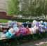 27 мая в Орле состоится «ЭкоСбор» - OrelGrad.Ru