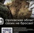 Орловская область формирует очередной гуманитарный груз для бойцов из Росгвардии - Правительство Орловской области