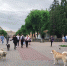 Закон о братьях меньших - Орёл-регион