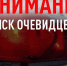 Полиция ищет очевидцев ДТП на трассе «Орёл-Тамбов» - Орёл-регион
