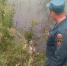 Ещё один орловец погиб на воде - OrelGrad.Ru
