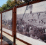 В Орле свою работу начали выставки «Освобождение. 1943» - Администрация города