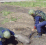 Орловские саперы уничтожили боеприпасы и артснаряд времен войны - РИА 57