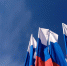 Выборы 2023: возможность проголосовать онлайн - vOrle.Ru