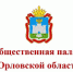Выбираем будущее Орловщины - Общественная палата