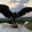 photo_2023-09-10 09.10.55 - OrelTimes.Ru