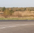 Под Орлом после ДТП госпитализировали пенсионерку - OrelGrad.Ru